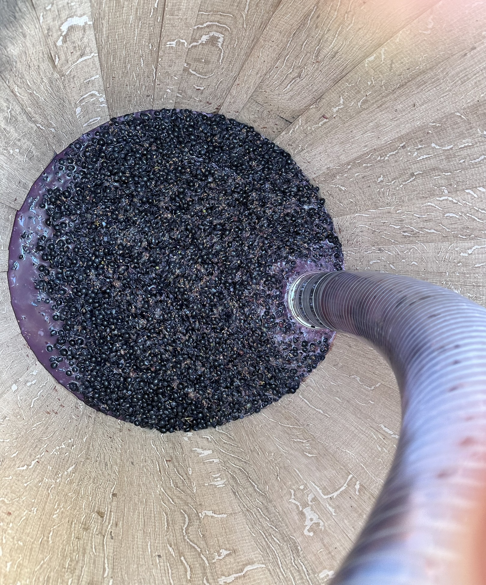 filling a barrel